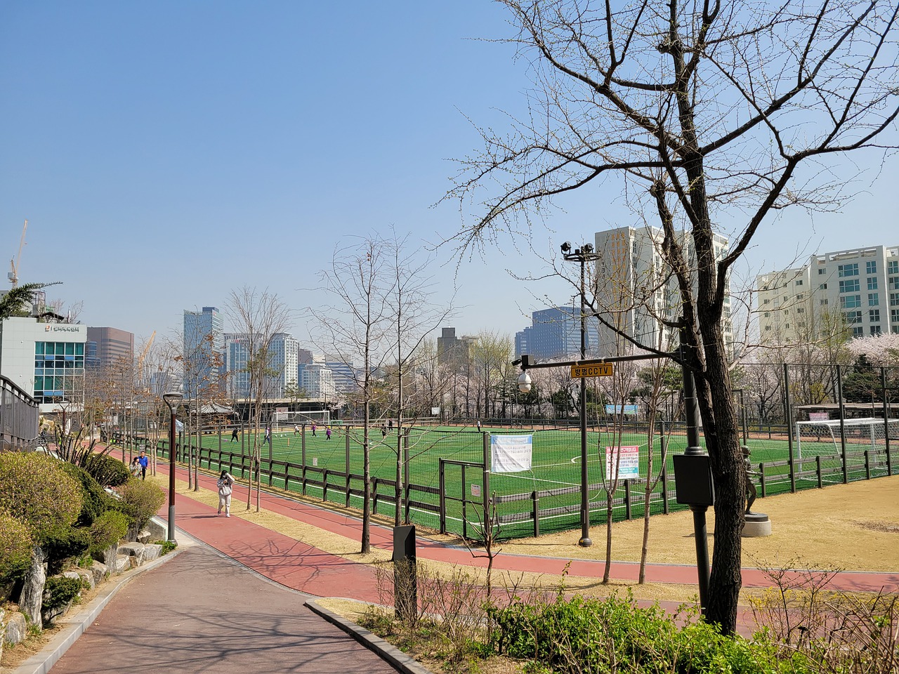 场上时