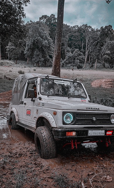 备受关注 备受关注