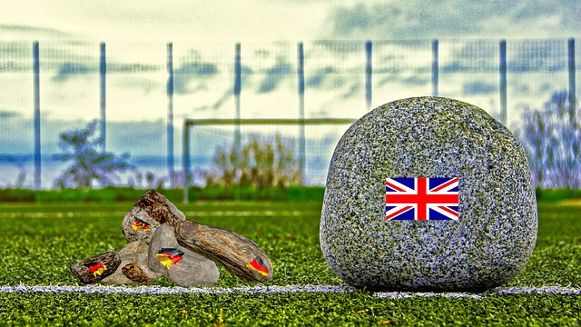 新向交易市 新向交易市