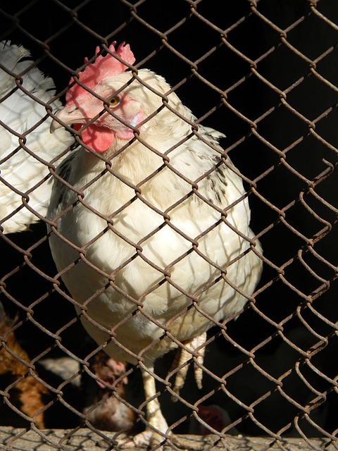 品牌和市场 品牌和市场